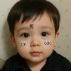 ducpam812