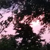 012luanminh