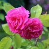 geethageetha6412