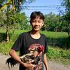 tempaskurmonyenyo