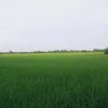 minhduy97la