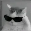 rickyyrckk