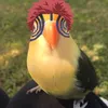 akasi213