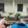 luckybotraveldn