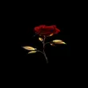 user8021636748428