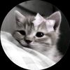 its_your_fahim02