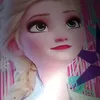ana_33891