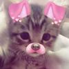 ariipriv_11