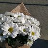 user6752013331105