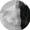 xiao_bao_150