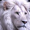 memet01ayaz