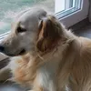 rozlia.horvth39