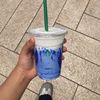 jamilafahad7