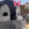geovaninha_71