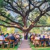 oaktreemanorweddingvenue