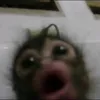 okeyleyi