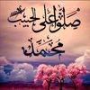 user8381952406877