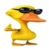 patito.facherito0104