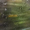 flashygurl1