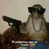 bobmayleabre