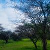 mpho45545