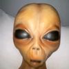user73831699061280