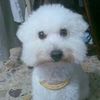 user85410182661435