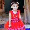 safa265426