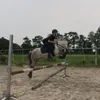 shetisgeweldig
