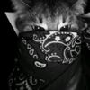 dall_174