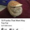 excelzxxq0g
