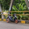 abil_dekia