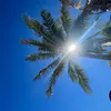sonahtravel