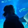 _shuahong2601_