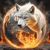 alonewolf.138