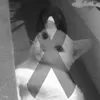 cattycattyyt