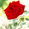 ruziyev_84