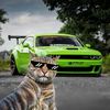 arda_w101