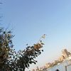 ammar.hany59