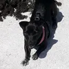 aisling_conneely7