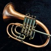 Africantrumpet 🎺🎺🎺