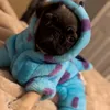 Boo