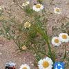 user1797076961493