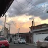 leo_gordinho__