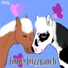 .honeybuzzranch