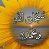 user6660553974514