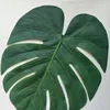 pucuukdaunteh