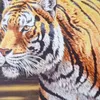 the.tiger.man