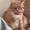 hheehehe109