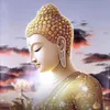 phattrongtam8987